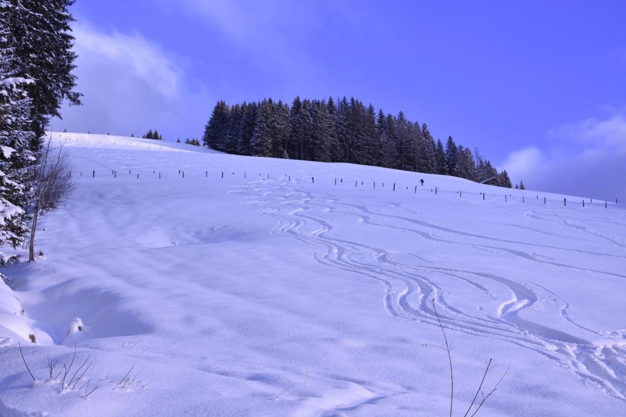 Landhotel Anna Sankt Martin am Tennengebirge Bagian luar foto