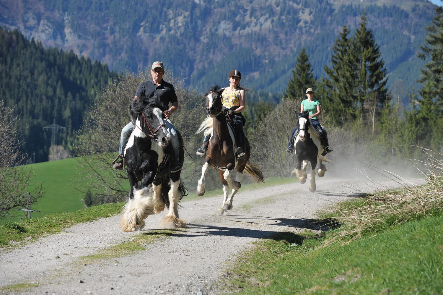 Landhotel Anna Sankt Martin am Tennengebirge Bagian luar foto